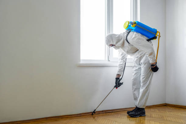 Best Bed Bug Extermination  in Oakton, VA